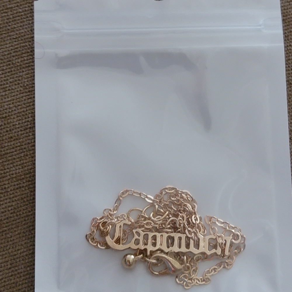New Gold Zodiac Word Necklace Capricorn